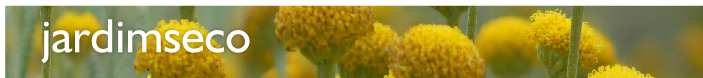 jardimseco
